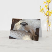 プグホリデーカード | Lily the Pug カード (黄色い花)