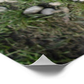 プグンピーブルプリント ポスター (角)