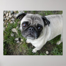 プグンピーブルプリント