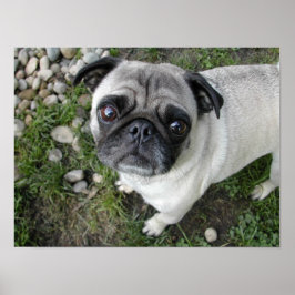 プグンピーブルプリント ポスター