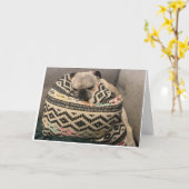 プグ誕生日カードハッピープレイス カード (黄色い花)