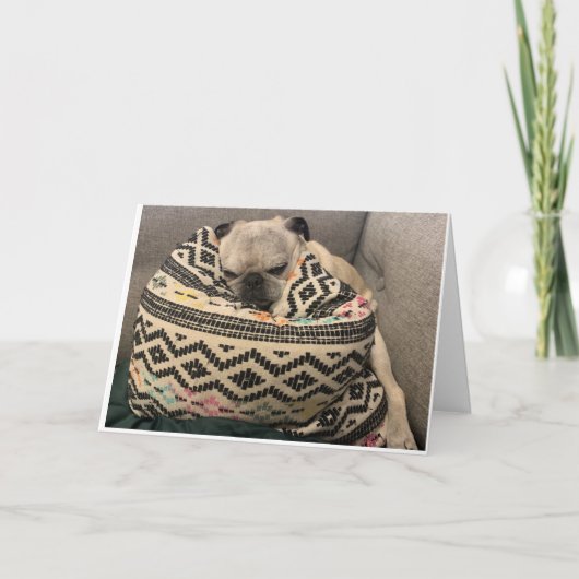 プグ誕生日カードハッピープレイス カード (正面)