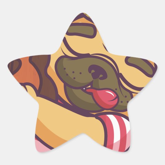 プグ遊ギター 星シール (正面)