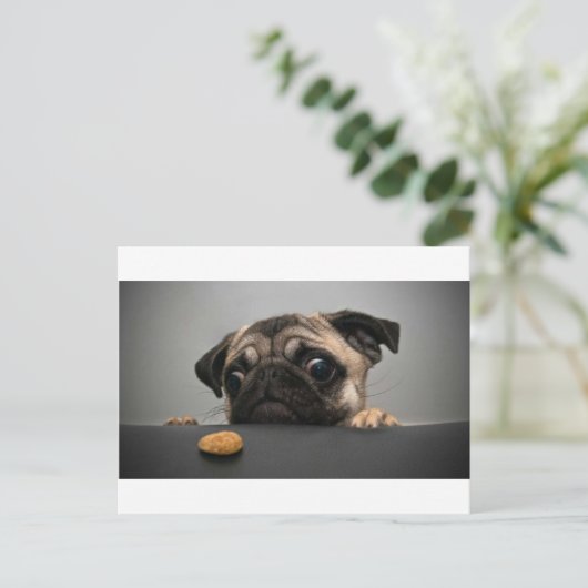 プグ ポストカード (スタンド正面)