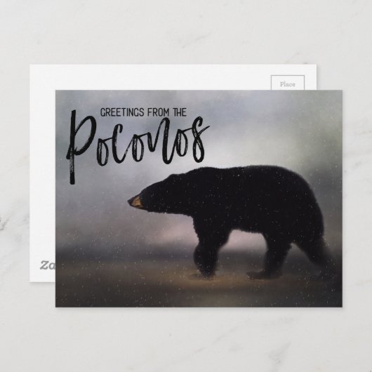 プコノスからの冬の挨拶|過去記事 ポストカード (正面/裏面)