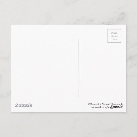 プコノスからの冬の挨拶|過去記事 ポストカード (裏面)