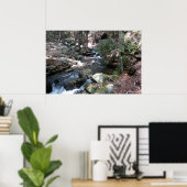 プコノスのブシュキル川。プリント0086 ポスター (ホームオフィス)