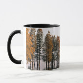 プサルム118:6主は私の味方ですから、私は恐れません マグカップ (左)