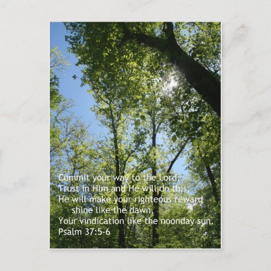 プサルム37:5-6 ポストカード (正面)