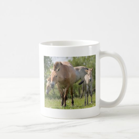 プシェワルスキー馬と歩く子馬 コーヒーマグカップ (右)