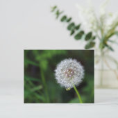 プステブルム ポストカード (スタンド正面)