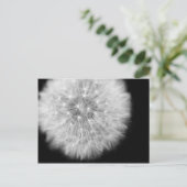 プステブルム ポストカード (スタンド正面)