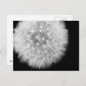 プステブルム ポストカード (正面/裏面)