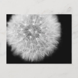 プステブルム ポストカード