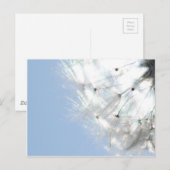 プステブルメンレーヴェンツァンヒンメルブラウフォトグラフィー ポストカード (正面/裏面)