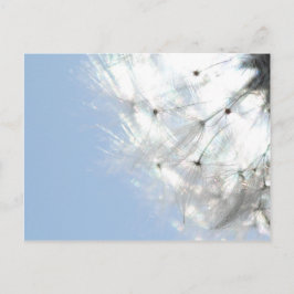 プステブルメンレーヴェンツァンヒンメルブラウフォトグラフィー ポストカード