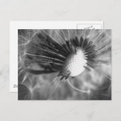 プステブルメ2013 5 ポストカード (正面/裏面)