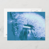 プステブルメ ポストカード (正面/裏面)