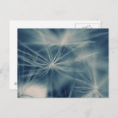 プステブルメ ポストカード (正面/裏面)