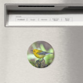 プソノタリのイラクサ マグネット (インサイチュ (食洗機))