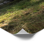 プチハフリンガー ポスター (角)