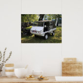 プチハフリンガー ポスター (キッチン)