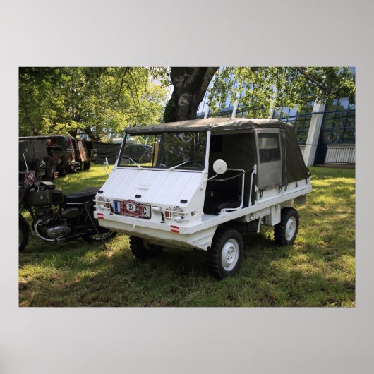 プチハフリンガー ポスター (正面)