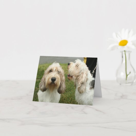 プチバセットグリフォンベンデーン空白のカード カード (小さな植物)