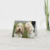 プチバセットグリフォンベンデーン空白のカード カード (正面)