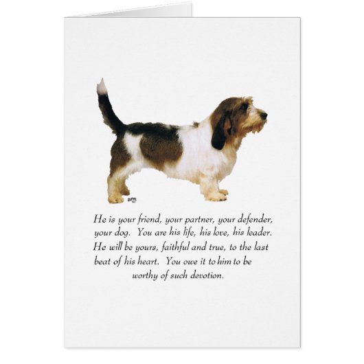 プチバセットグリフォンヴェンデアンオス (正面)