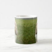 プチバセットグリフォンヴェンデーン コーヒーマグカップ (中央)