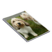 プチバセットグリフォンヴェンデーン ノートブック (右側)