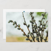 プッシー柳の枝を持つ宗教的なイースターカード シーズンカード (正面/裏面)