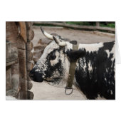 プッタルパイドウ (正面横)