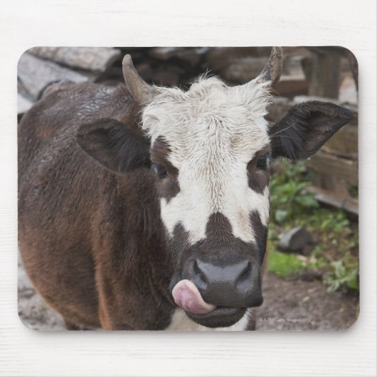 プナカ地区ブータン マウスパッド (正面)