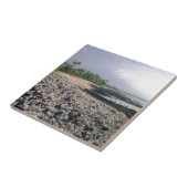 プナルウブラックサンドビーチハワイビッグアイランド タイル (側面)