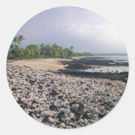 プナルウブラックサンドビーチハワイビッグアイランド ラウンドシール (正面)