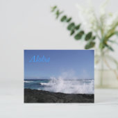 プナルビーチ ポストカード (スタンド正面)