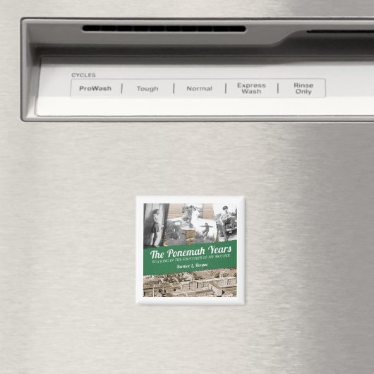 プネマの年 –  マグネット (インサイチュ (食洗機))