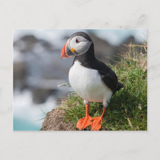 プフィンフラテルクラアルチカアットラトラブジャルアイスランド ポストカード