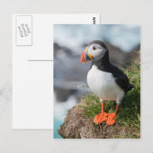 プフィンフラテルクラアルチカアットラトラブジャルアイスランド ポストカード (正面/裏面)