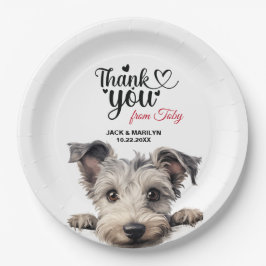 プミドッグ ペーパープレート