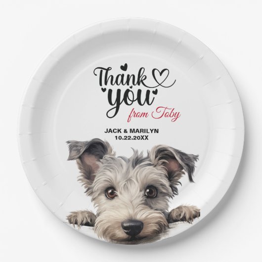 プミドッグ ペーパープレート (正面)