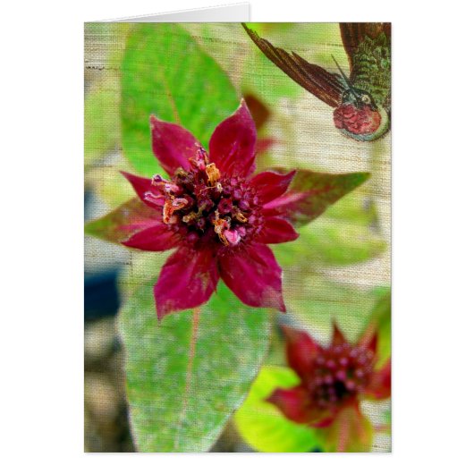 プラかわいらしント2 (正面)