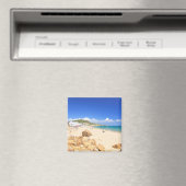 プライアダサレマ マグネット (インサイチュ (食洗機))