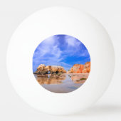 プライアダロチャポルトガル 卓球ボール (裏面)