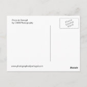 プライアデベナギル ポストカード (裏面)