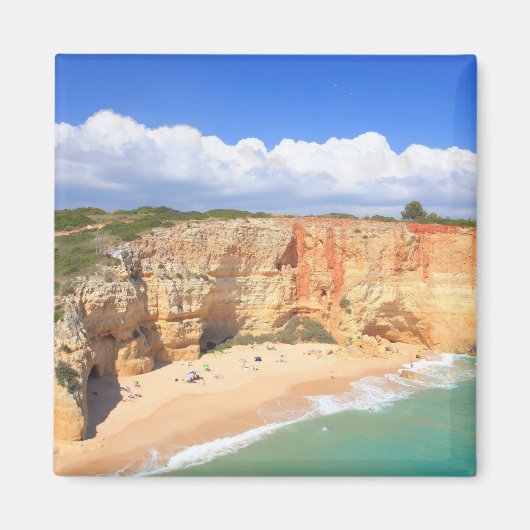 プライアデベナギル マグネット (正面)