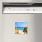 プライアドピナオ マグネット (インサイチュ (食洗機))