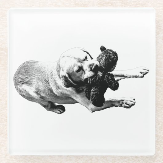 プライズグリップ ガラスコースター (正面)